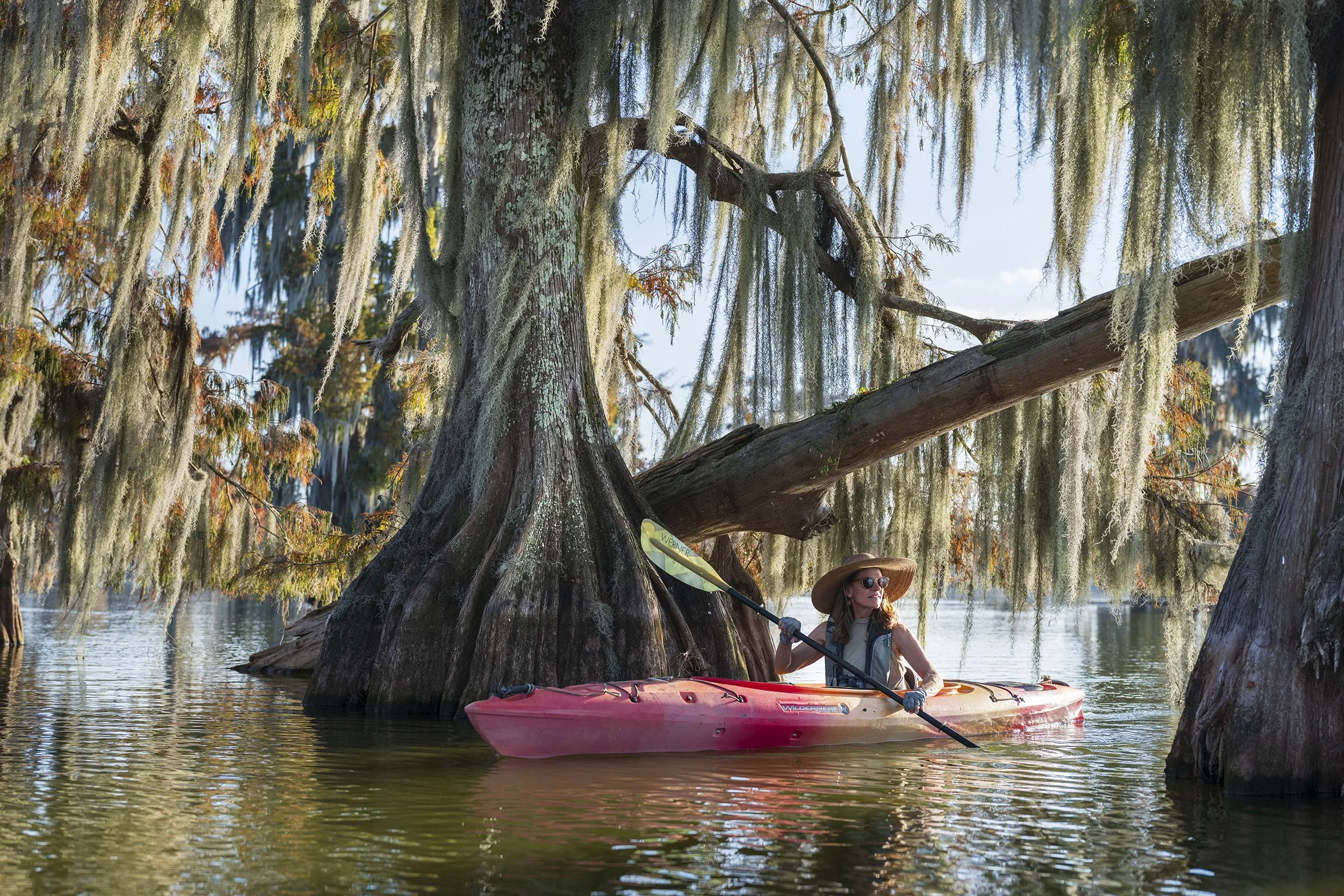 Lake Martin, Lousiana (Copy)