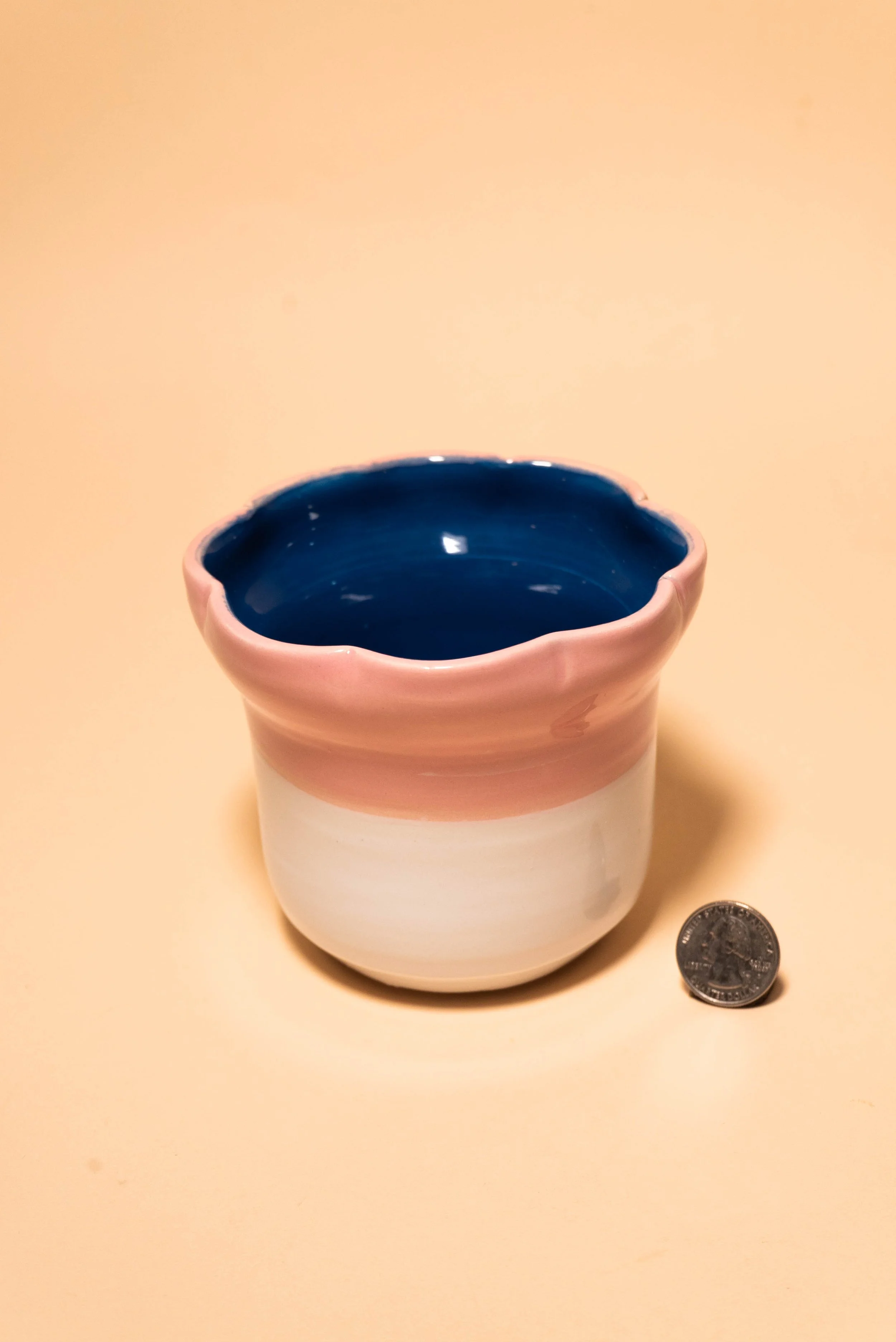 BF_PinkScallop-2.jpg