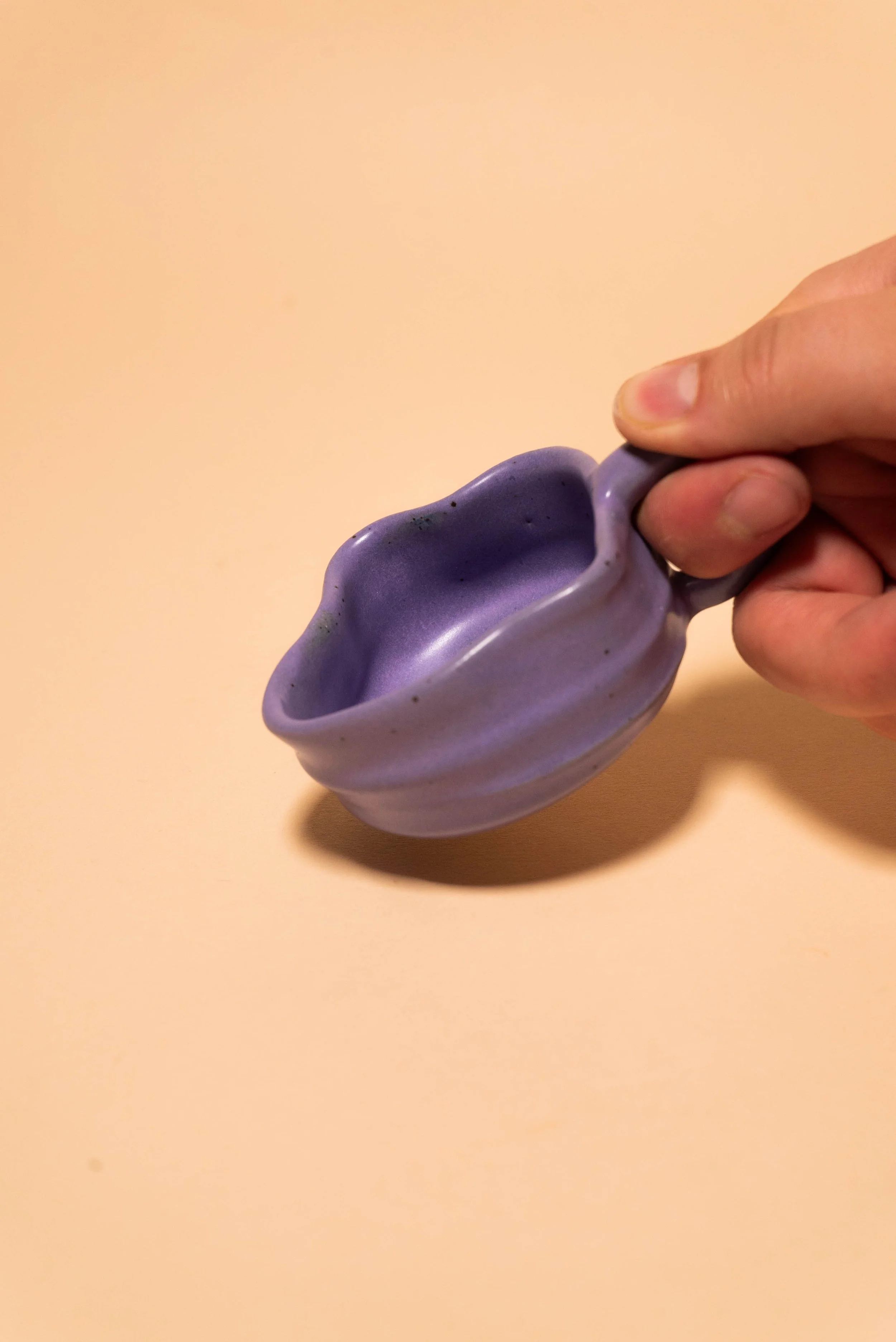 BF_Purple-4.jpg