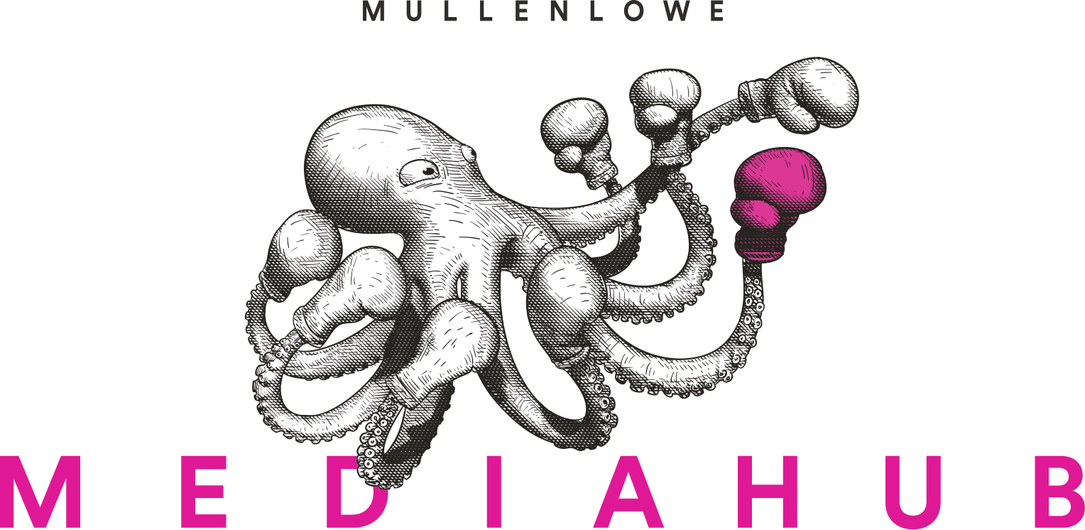 mediahub-logo.png