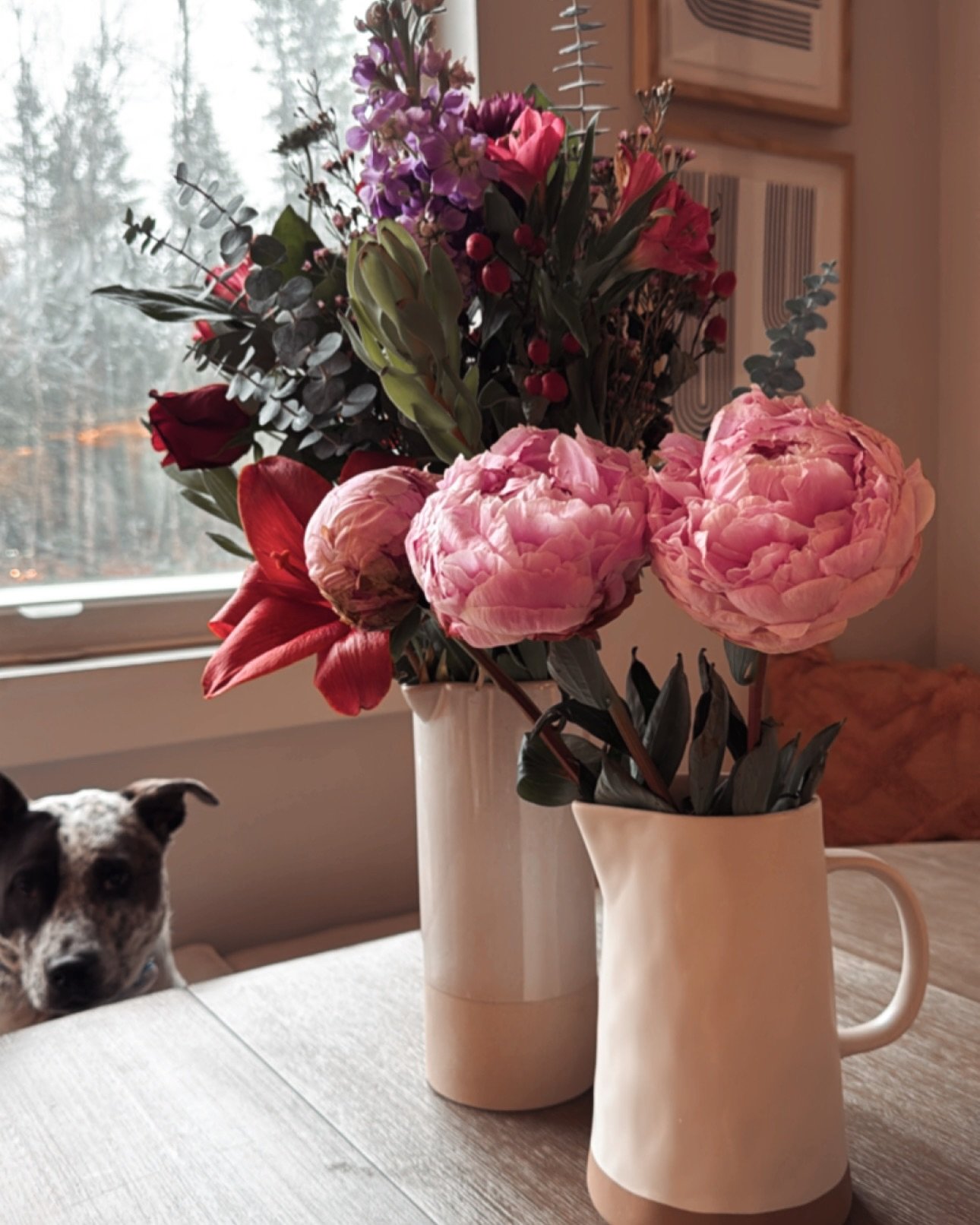 ✨February✨ was much too short and also seemed so long all at once. We had appointments, dates with friends, days snowed in, and sunshine hikes. What a month of change and new beginnings. As the flowers begin to peek their way out of the long frozen s