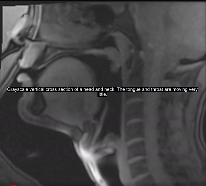 Screenshot 2026-10-14 at 9.48.11 PM.png