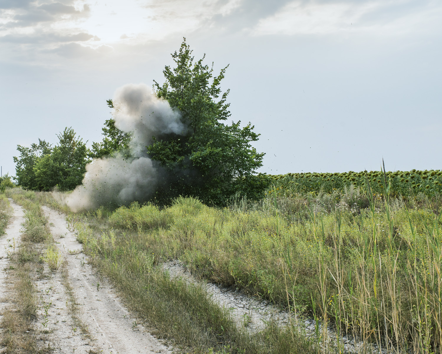 An improvised explosive device detonates during Ukrainian volunteer military training in the east. "How can a ceasefire only last five days? Nobody knows if or when anything will ever be good again. When they shell it's very loud and my windows shake." -Yevegenia, 75, Anatol