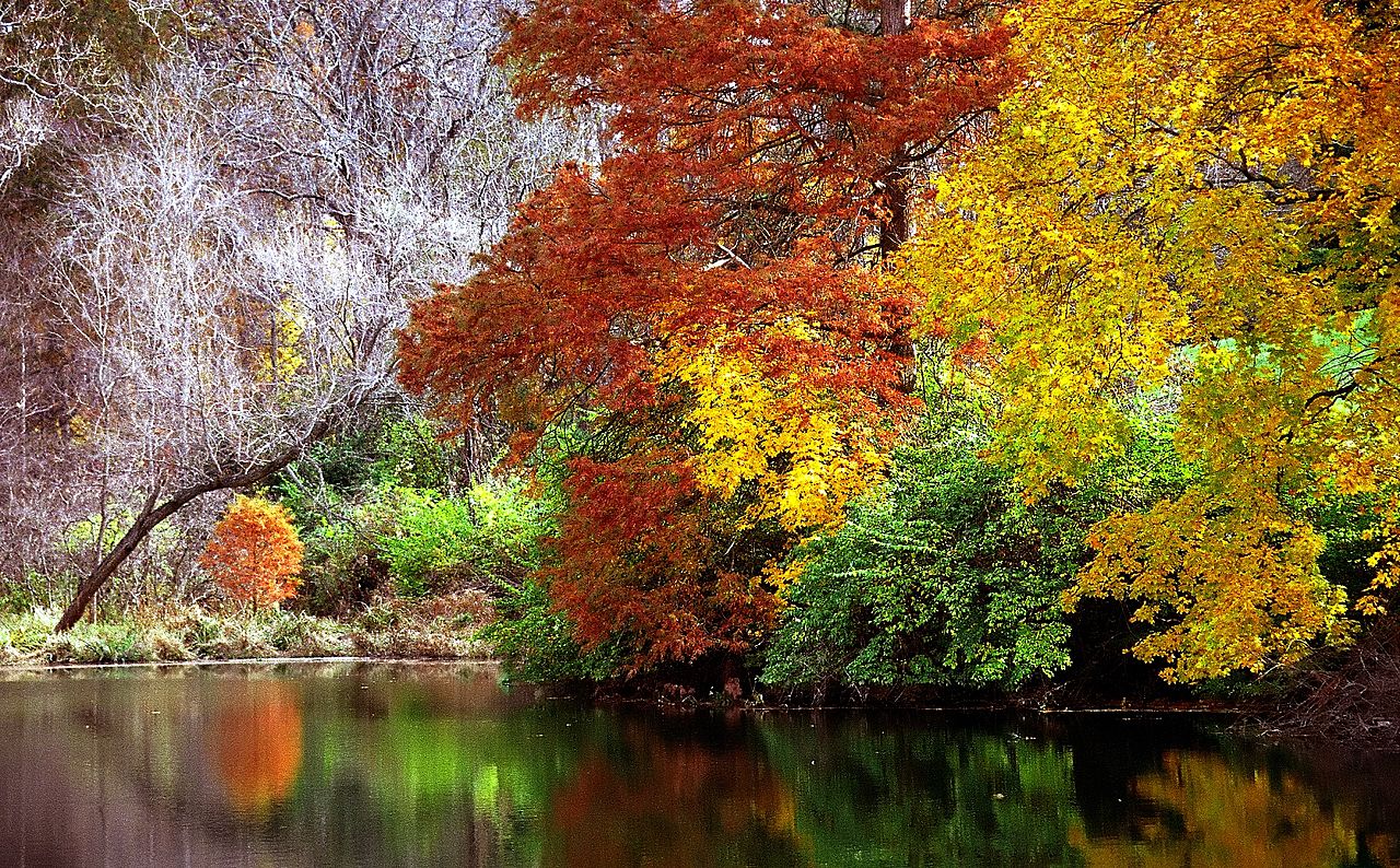 fall dates.jpg