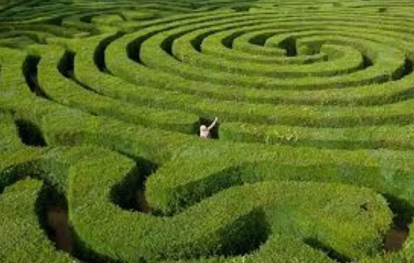 A Confusing Maze of Back Pain Treatment