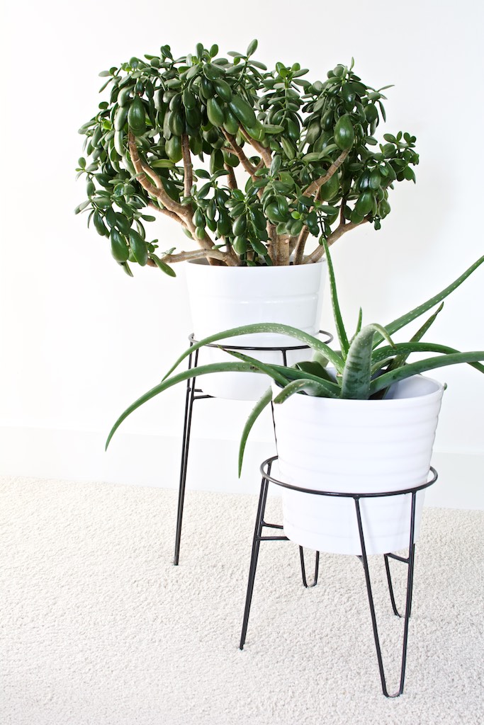 with IKEA planters