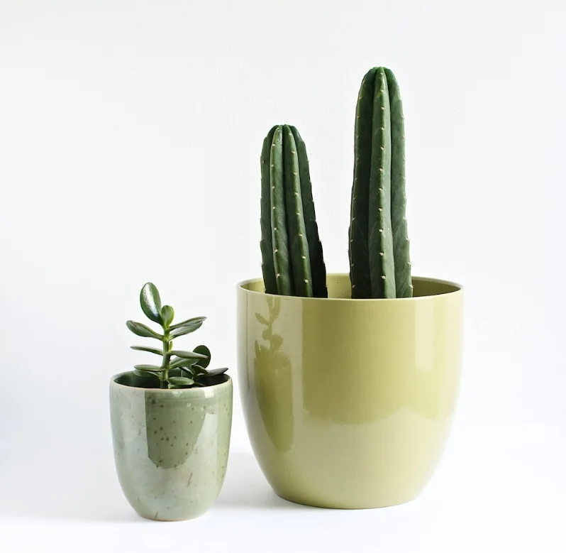 Ceramic planters always look good! Large: $5 small: $3