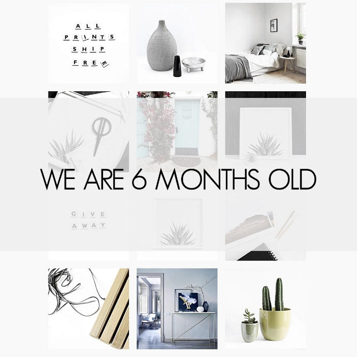 We are 6 months old