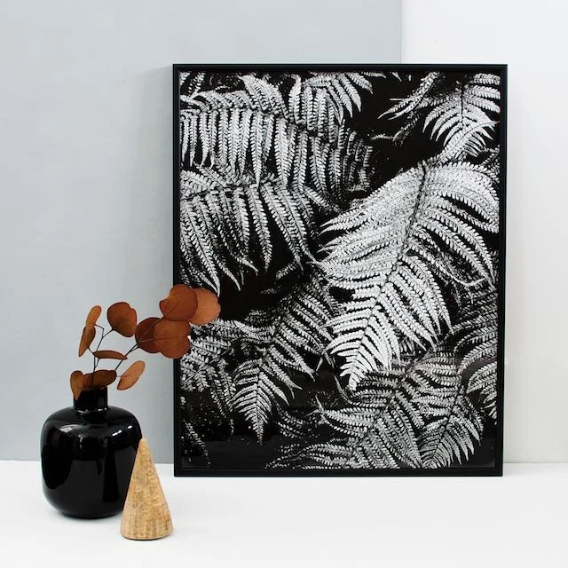 Fern print 16x20 inches