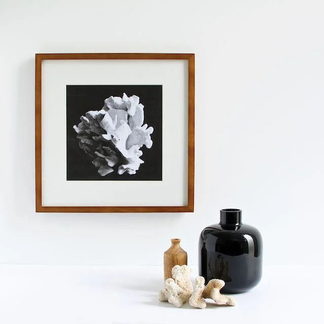Black and white abstract photography art print