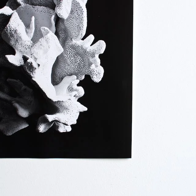 New print details