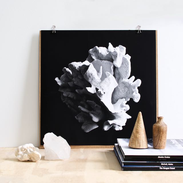 Black and white coral art print