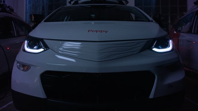 Cruise | Poppy