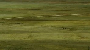 Carhartt | Way of Life