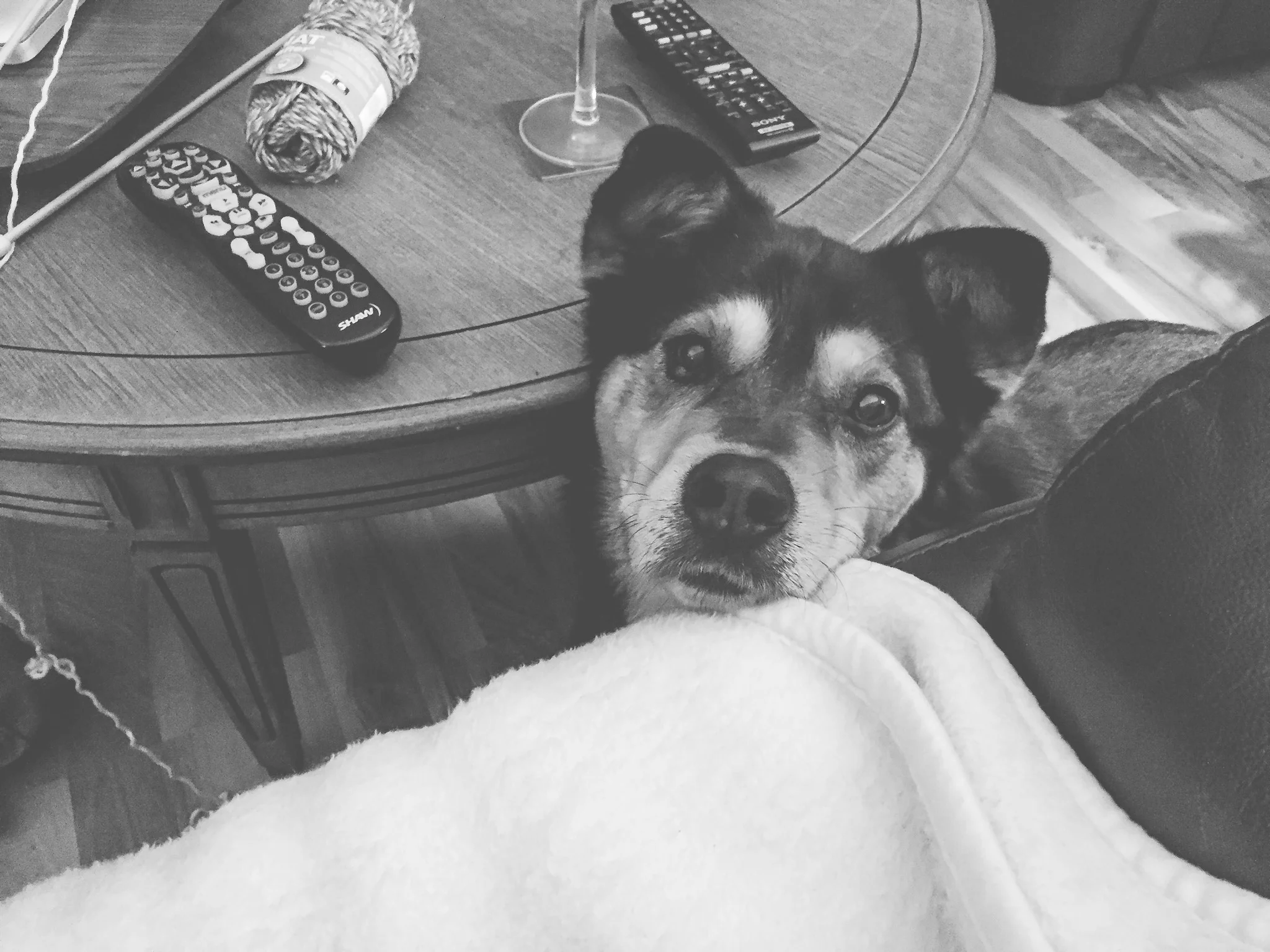 Lib waiting for popcorn to fall out of my mouth , she never has to wait long.