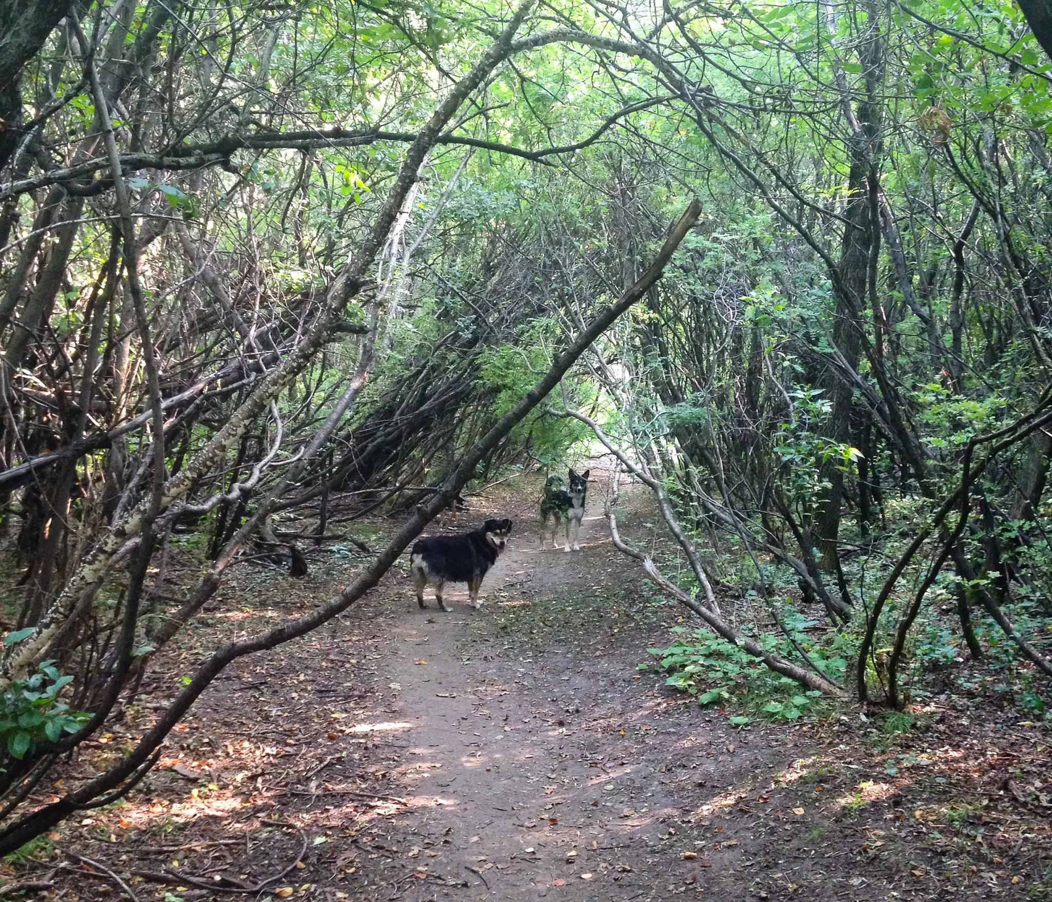 Lib & Ayva on the river trail