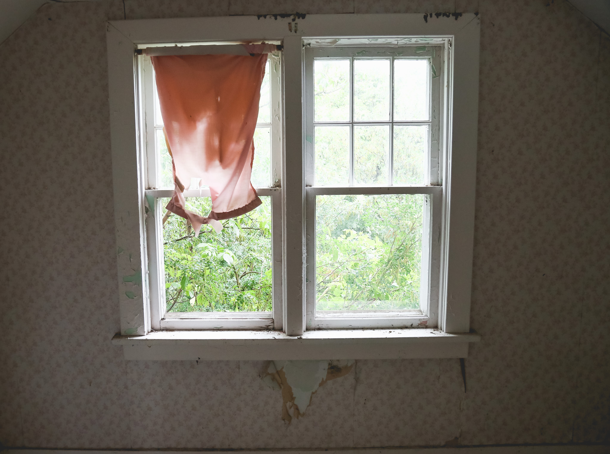 The pink room- I'm no interior decorator but that curtain might be a little small..