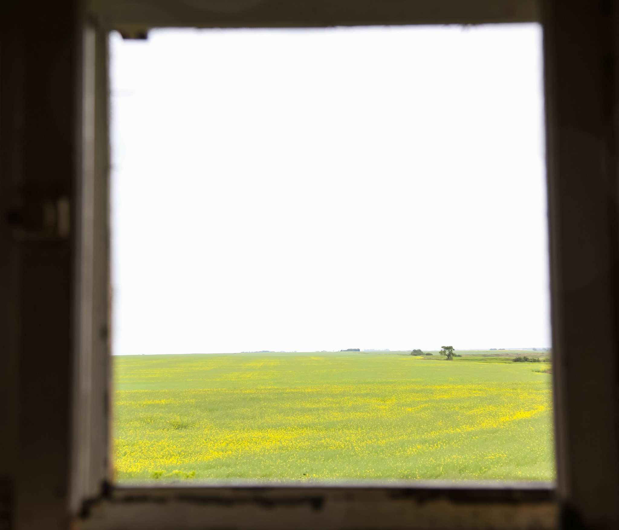 Another room with a view of the surrounding Canola fields