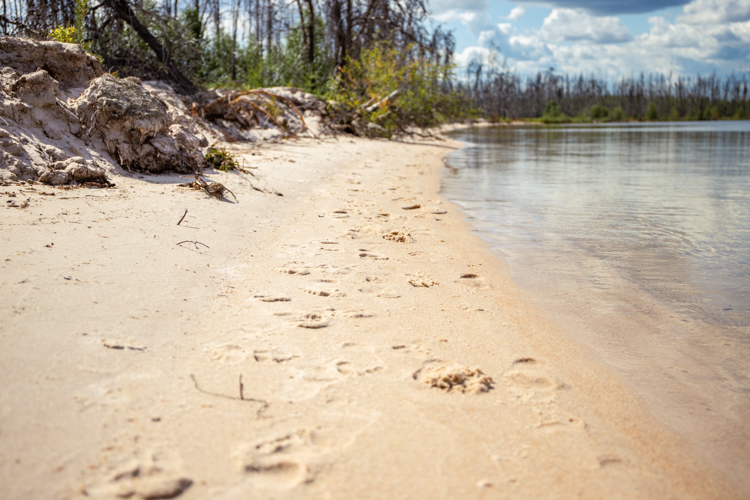 Foot prints in the sand on this secluded Northern beach.