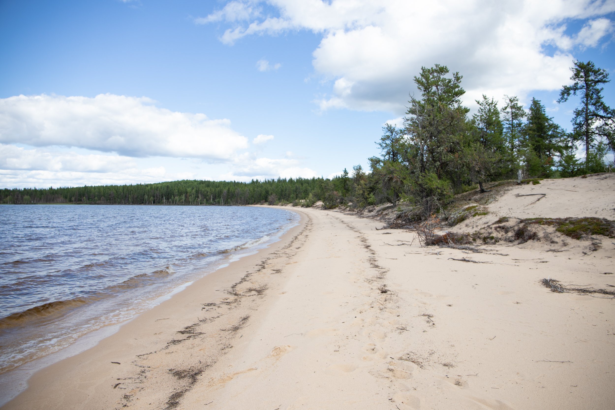  One of the many secluded sandy beaches on Careen Lake in Northern Saskatchewan  