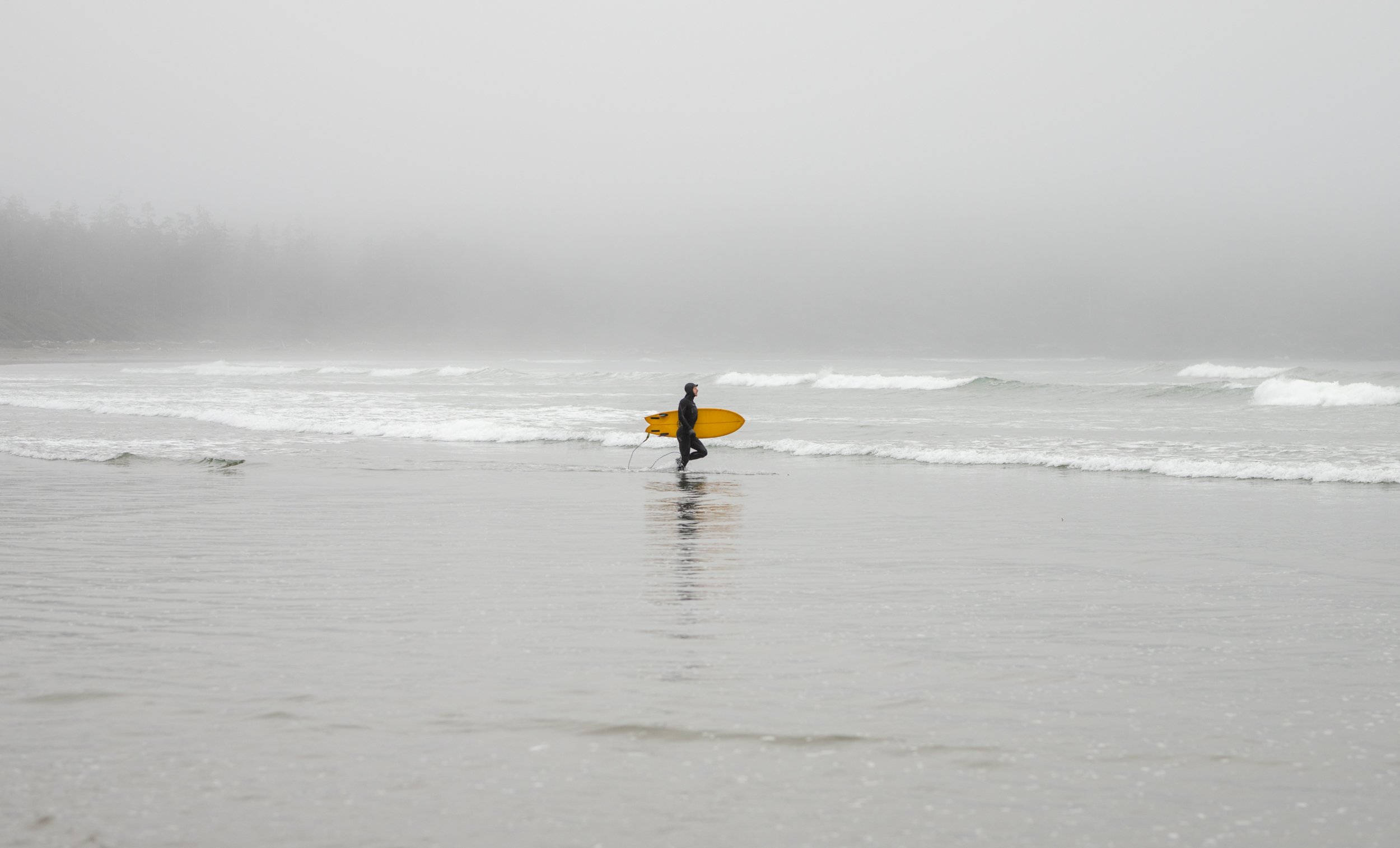  A foggy ocean scene when a surfer with a bright yellow surf board makes his way out to the ocean for an early morning surf 