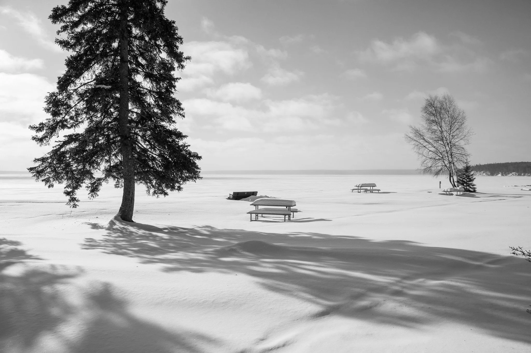 Black and white photo of tree shadows on a  snow covered beach, lake and picnic tables waskesiu Lake Saskatchewan Canada