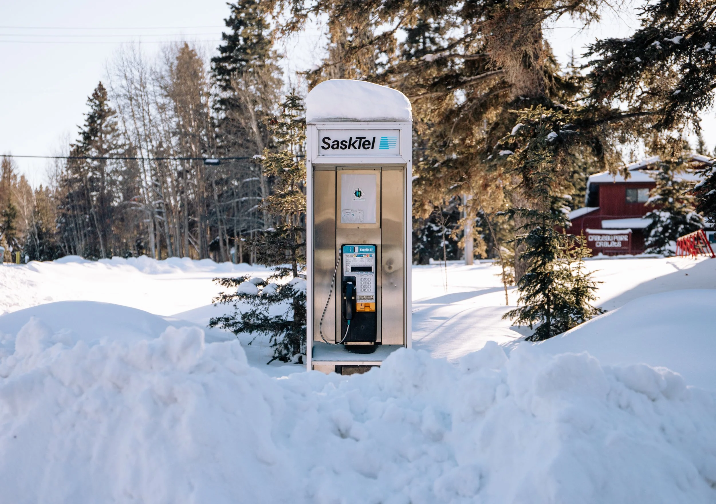 A snow covered SaskTel payphone in the summer town of Waskesiu