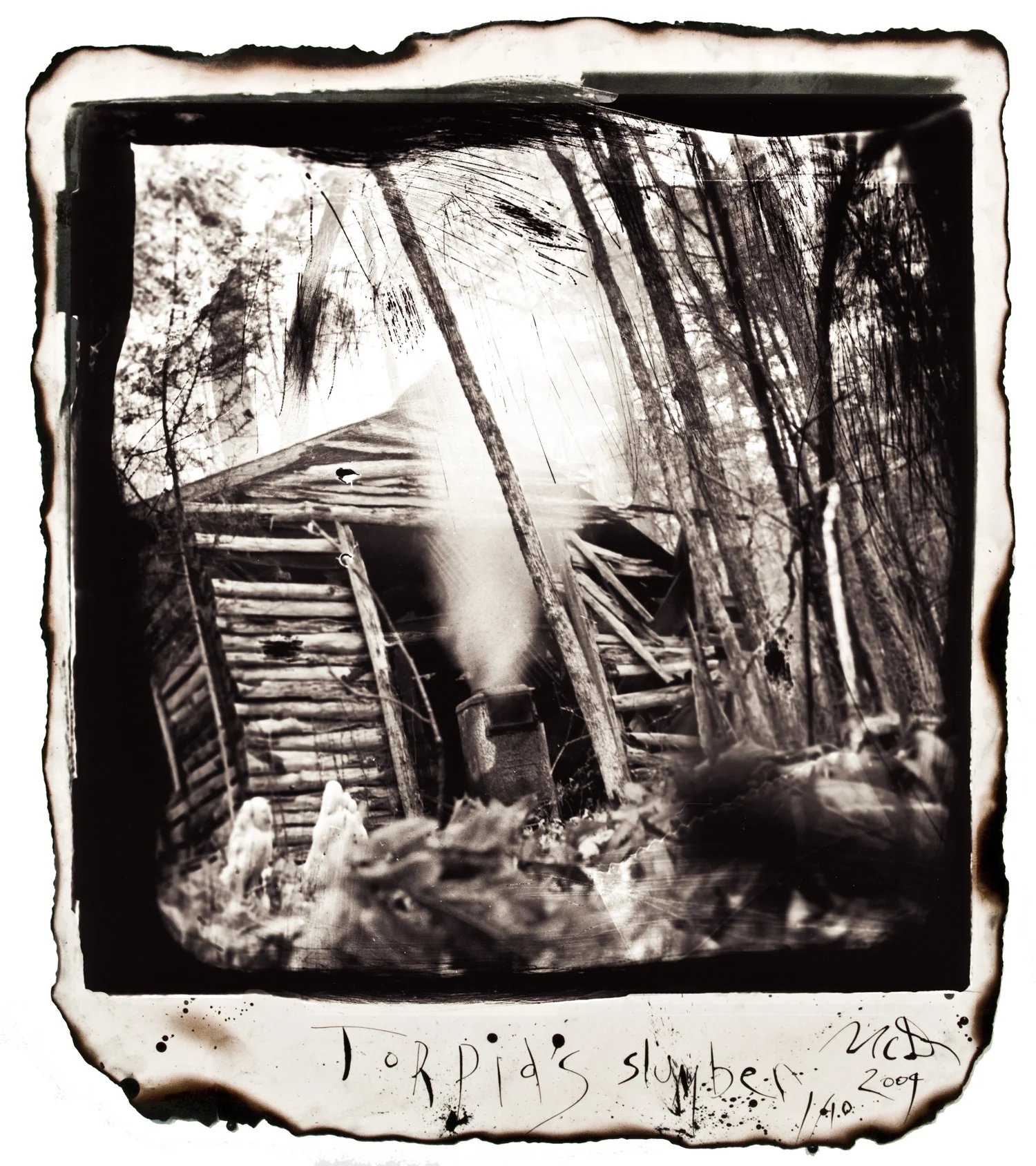 Michael Donnor13Torpid's Slumber.jpg