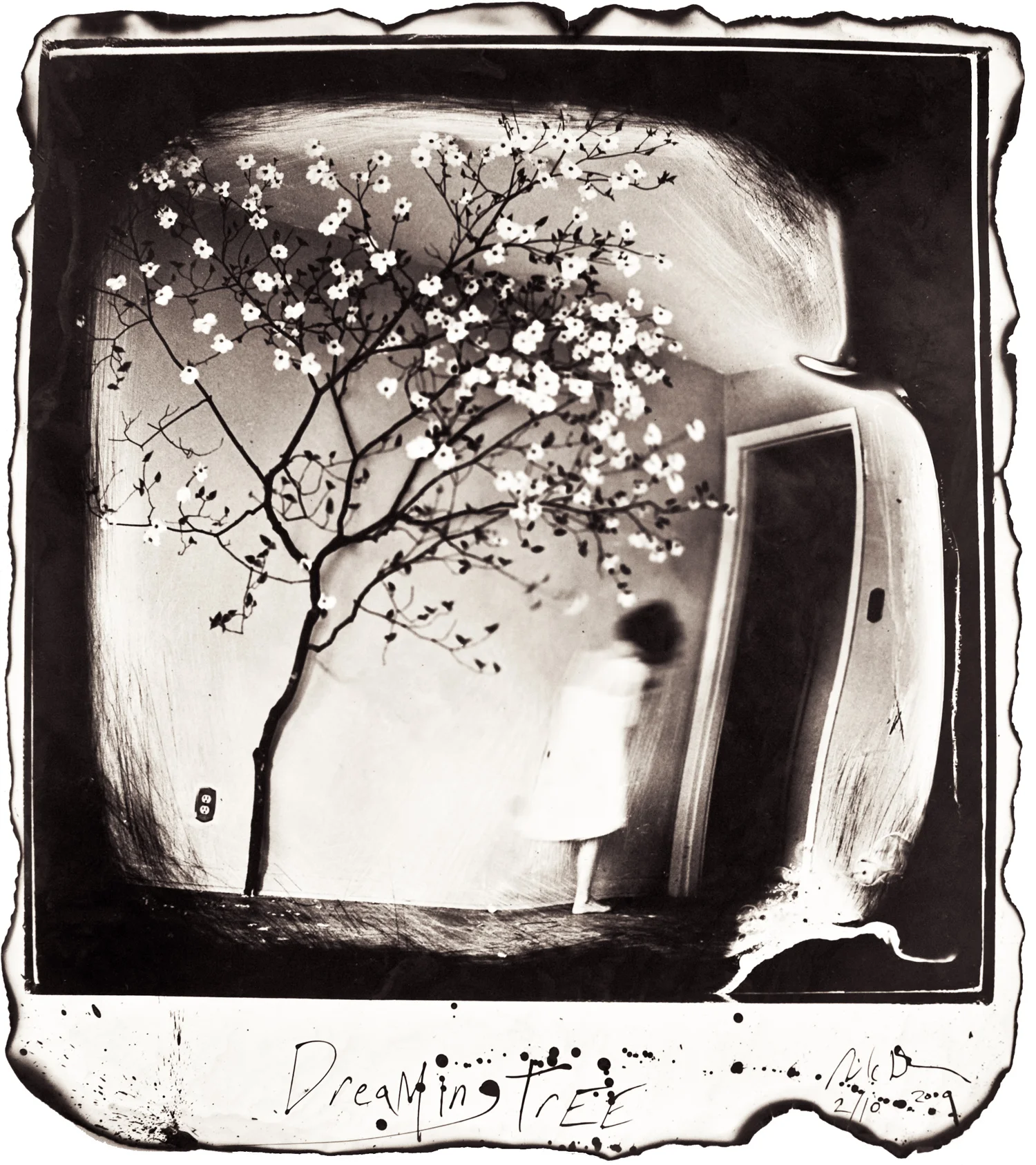 Michael Donnor22Dreaming Tree.jpg