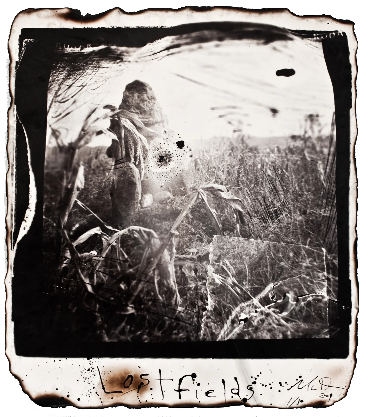 Michael Donnor24Lost Fields.jpg