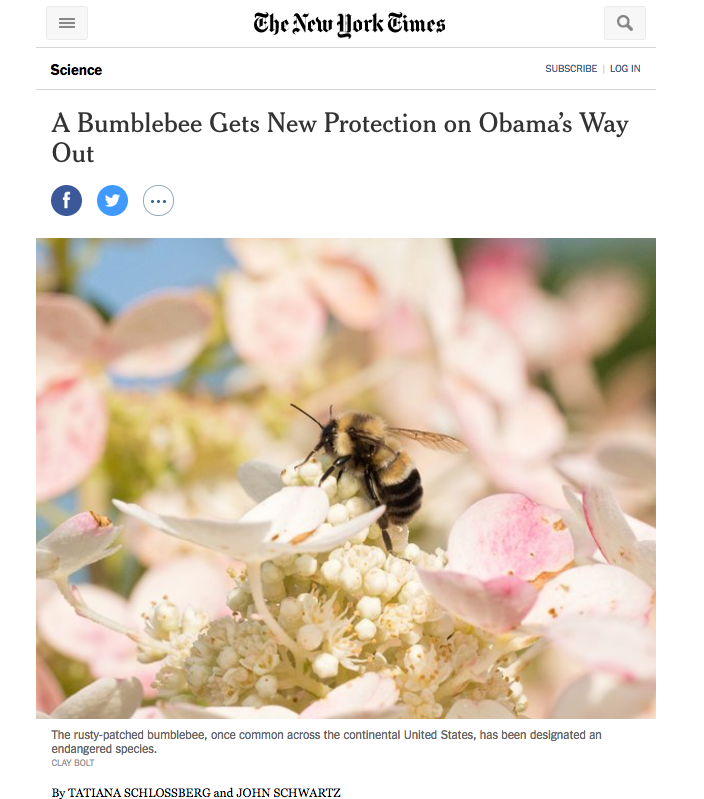 New York Times, January 10, 2017