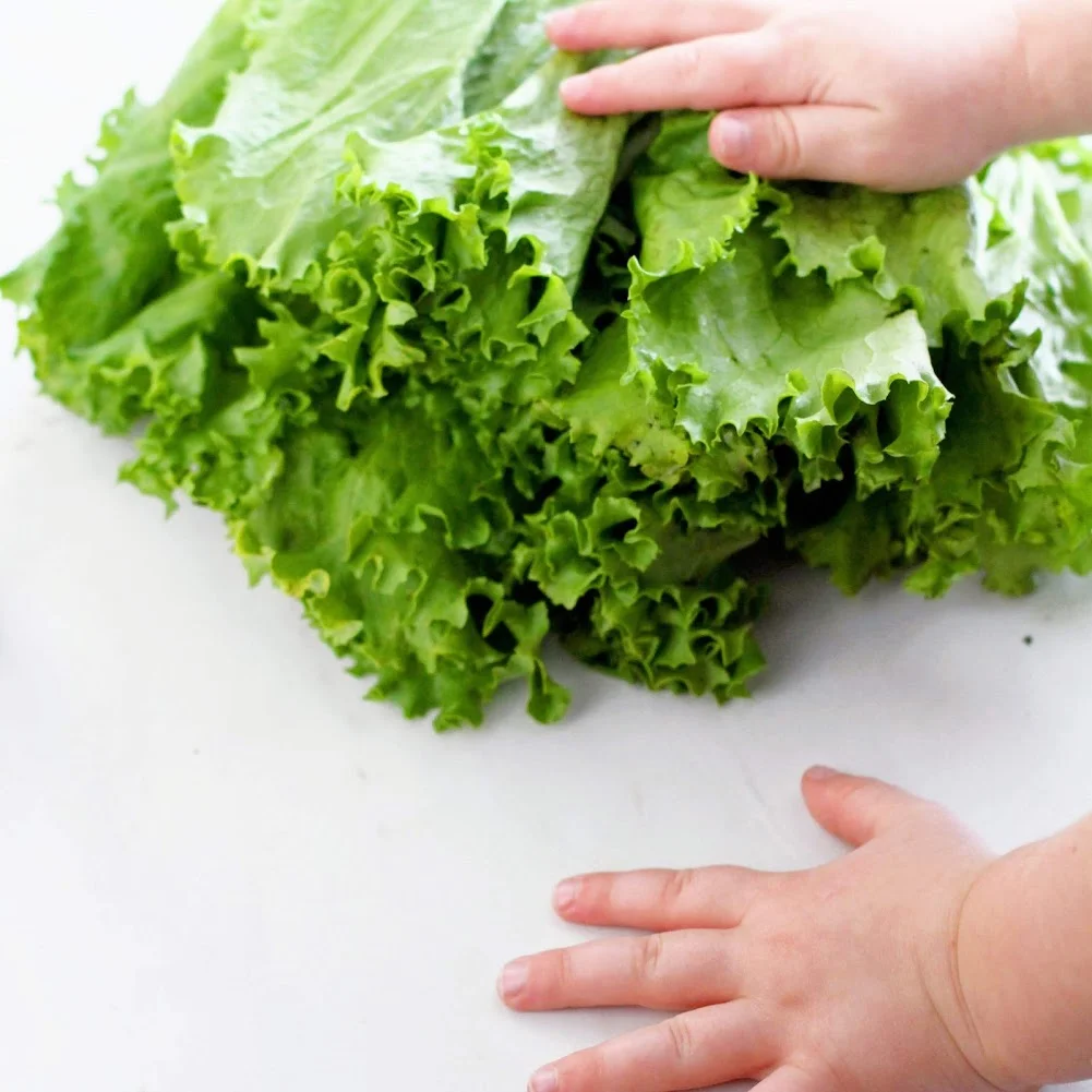 why do your kids need vegetables.