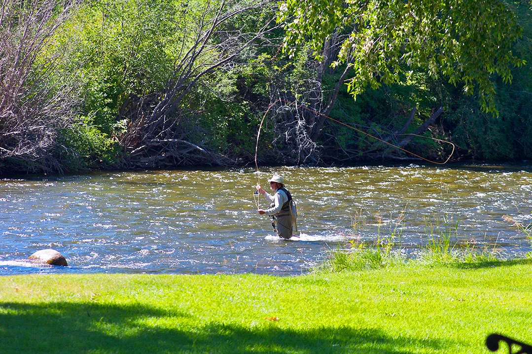 fly-fishing.jpg
