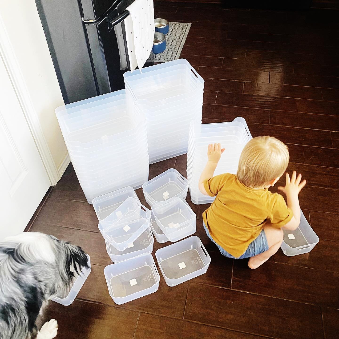 When your mom is a professional organizer and stacking cups are your favorite toys&hellip;playing with @thecontainerstore bins is your JAM! P.S. If our Italy visas get held up any longer, Uncle Blake&rsquo;s house is going to be VERY, VERY organized.
