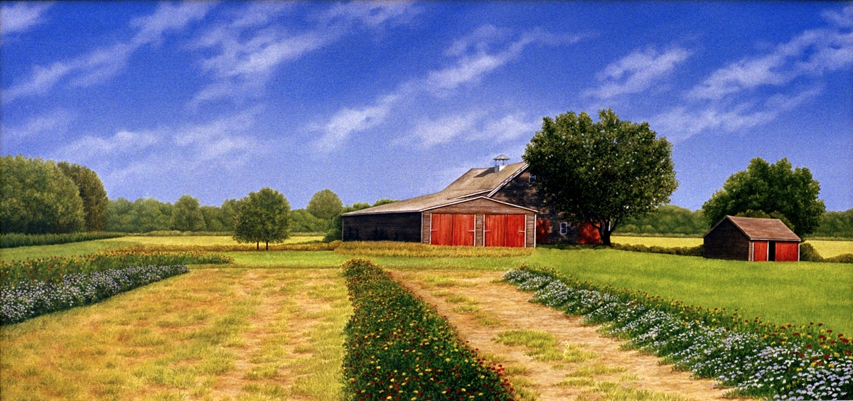 Comfort Farm