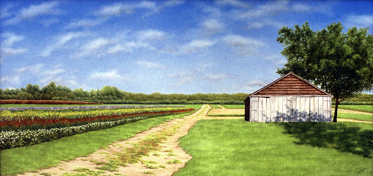 Halsey Farm