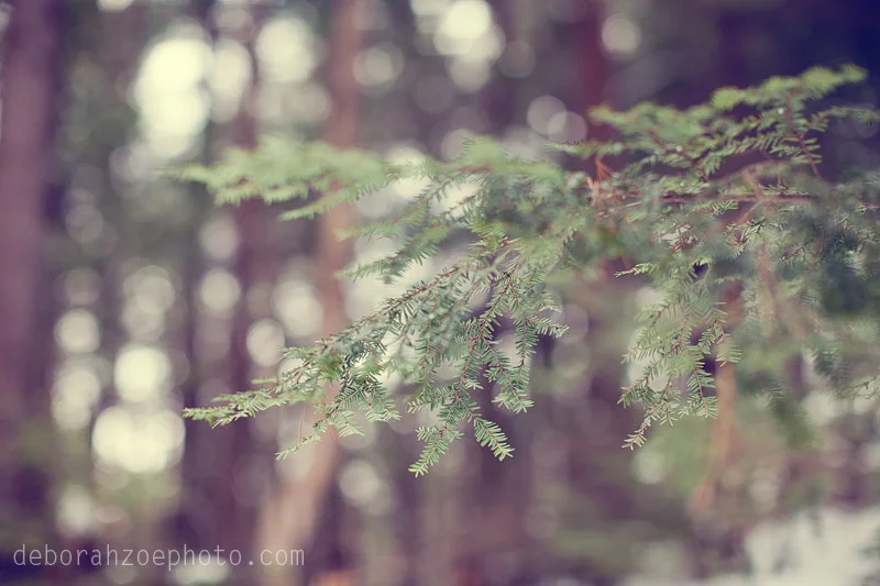 newhampshirebridals_23