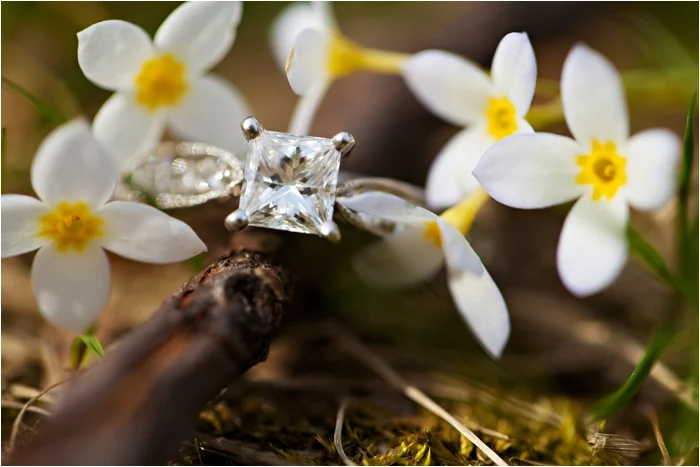 new hampshire engagement session wagon hill farm deborah zoe photography 0022