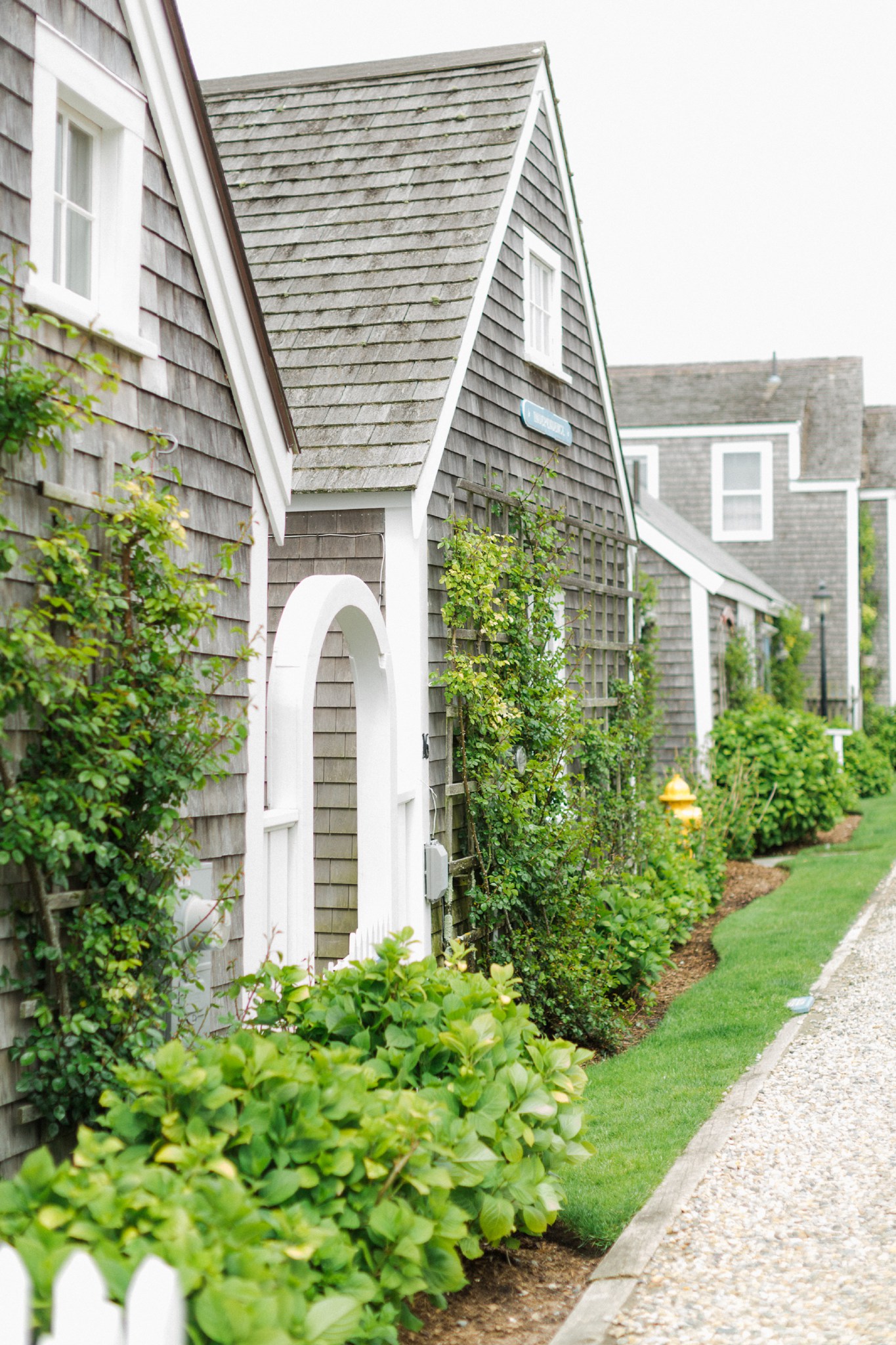 nantucket_ack_deborah_zoe_0022.JPG