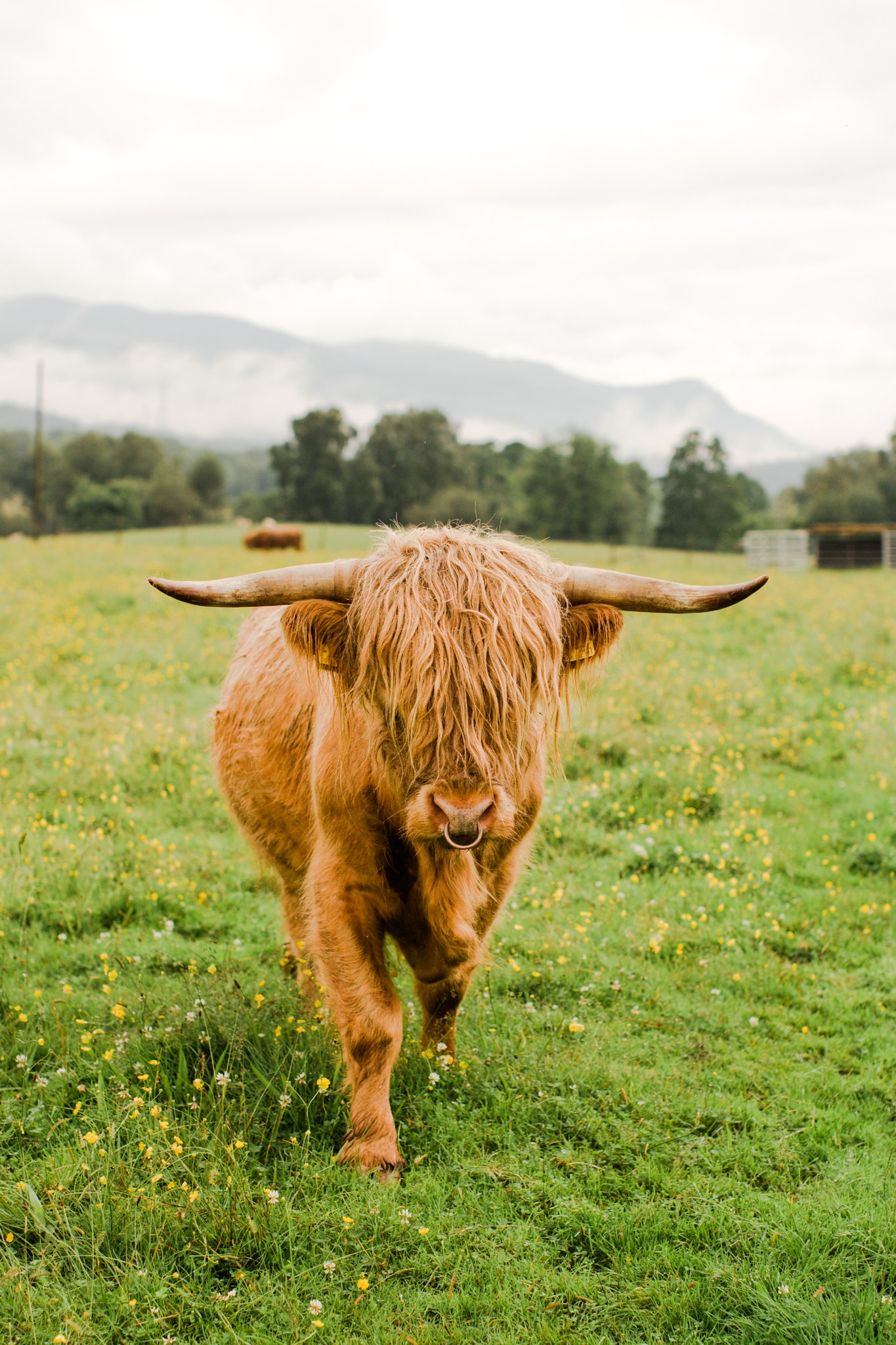 scotland_landscapes_deborah_zoe_photography_00022.JPG