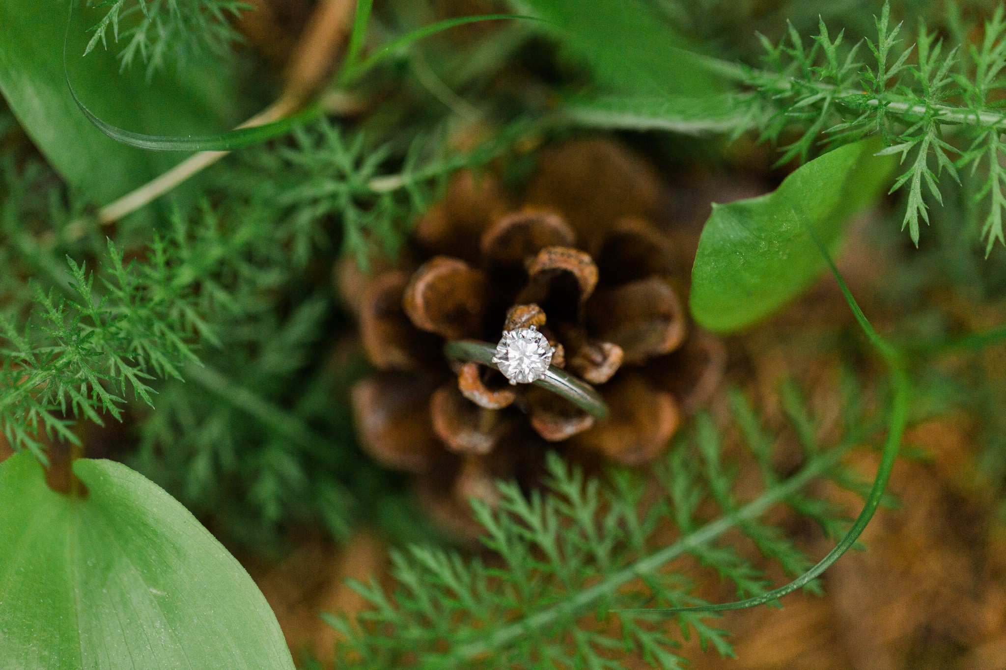 deborah_zoe_photography_engagement_session_0098.JPG