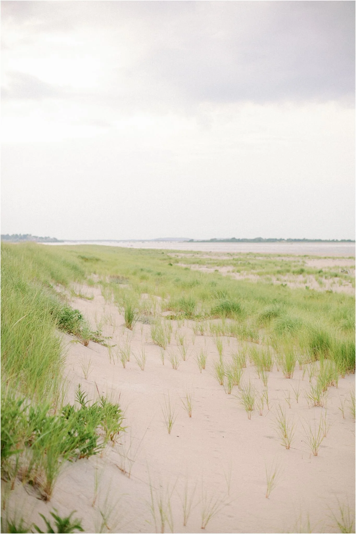 Crane Beach Maternity Photos
