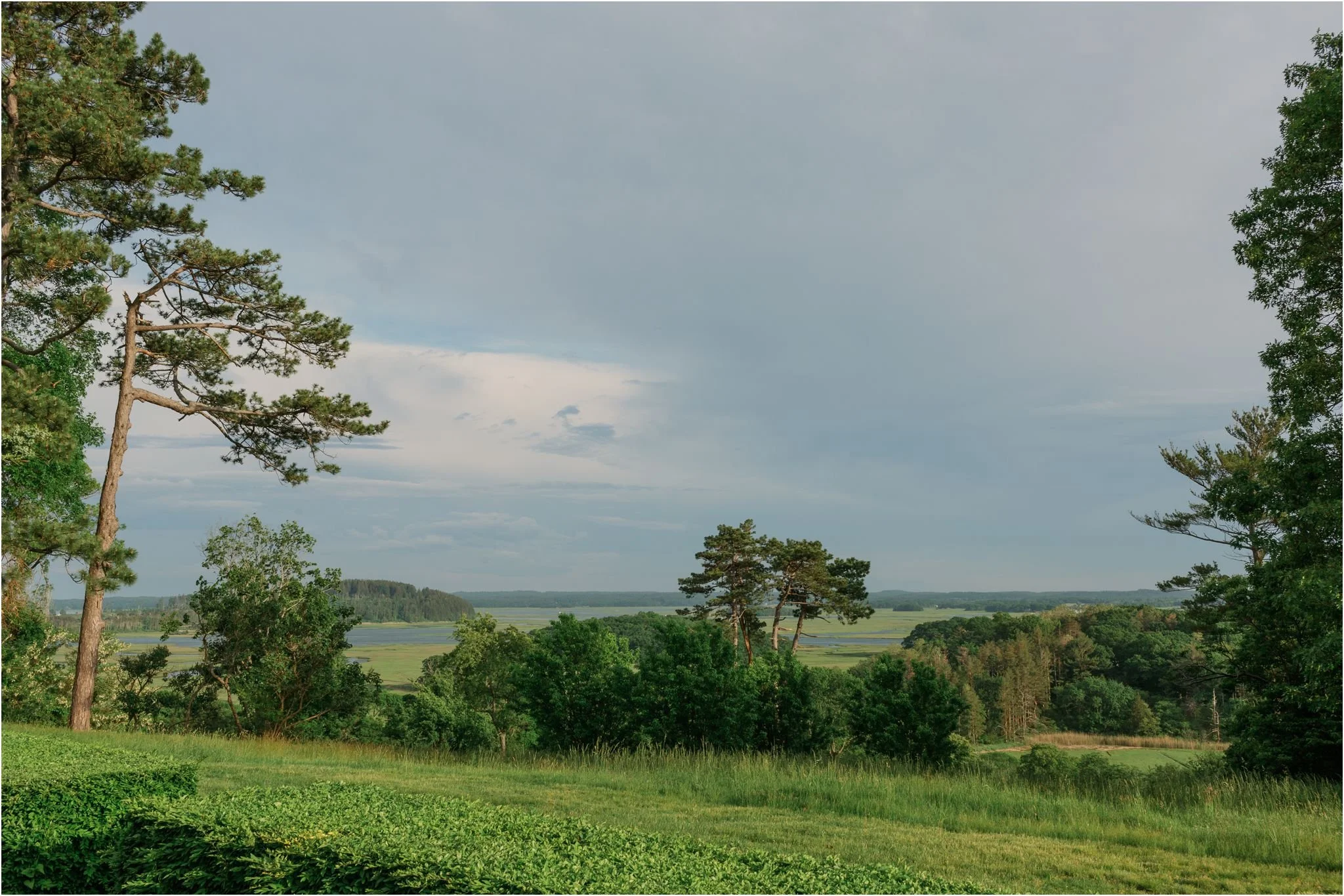 Elegant Crane Estate Wedding