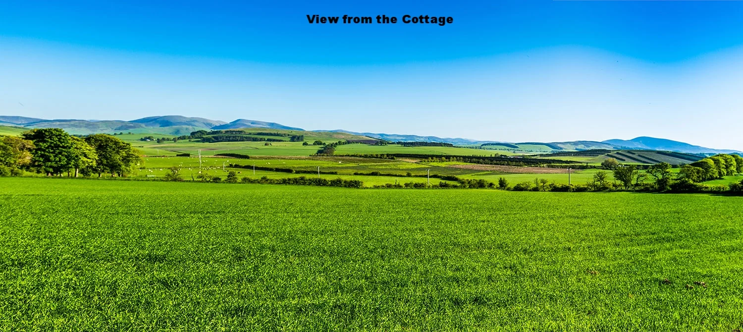 Panoramic view from Lammerlaw