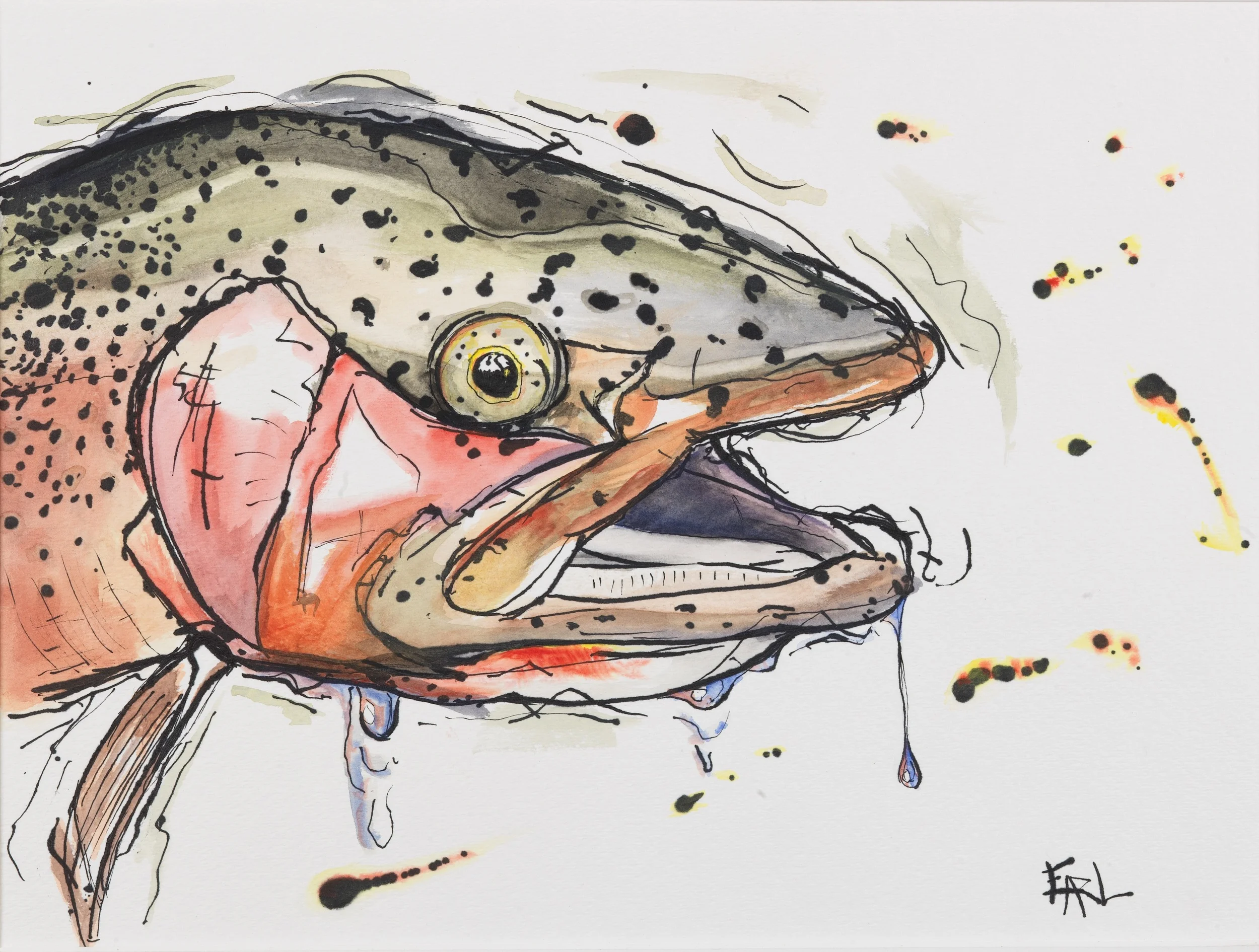 Fish3_0068.jpg