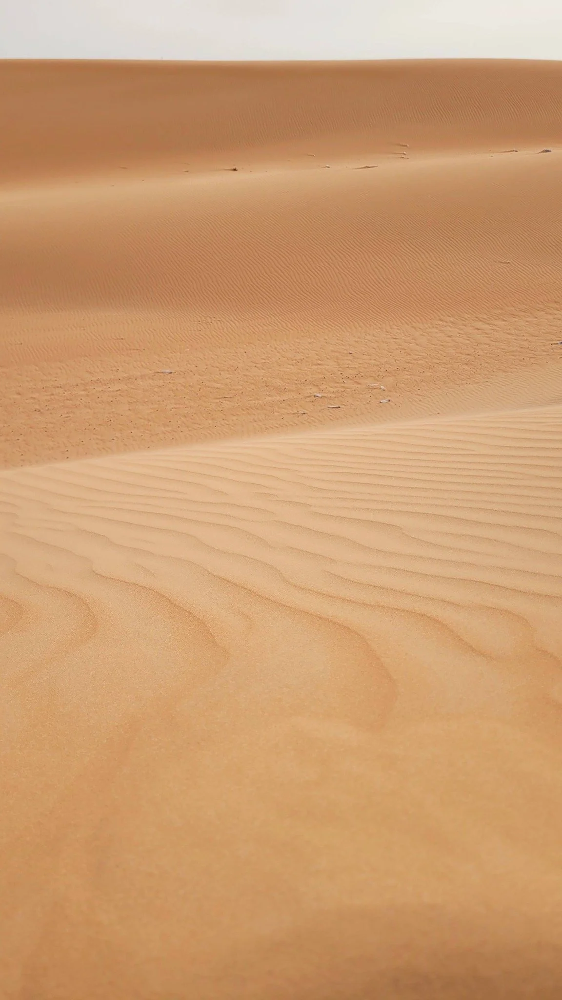 photo 1.jpg