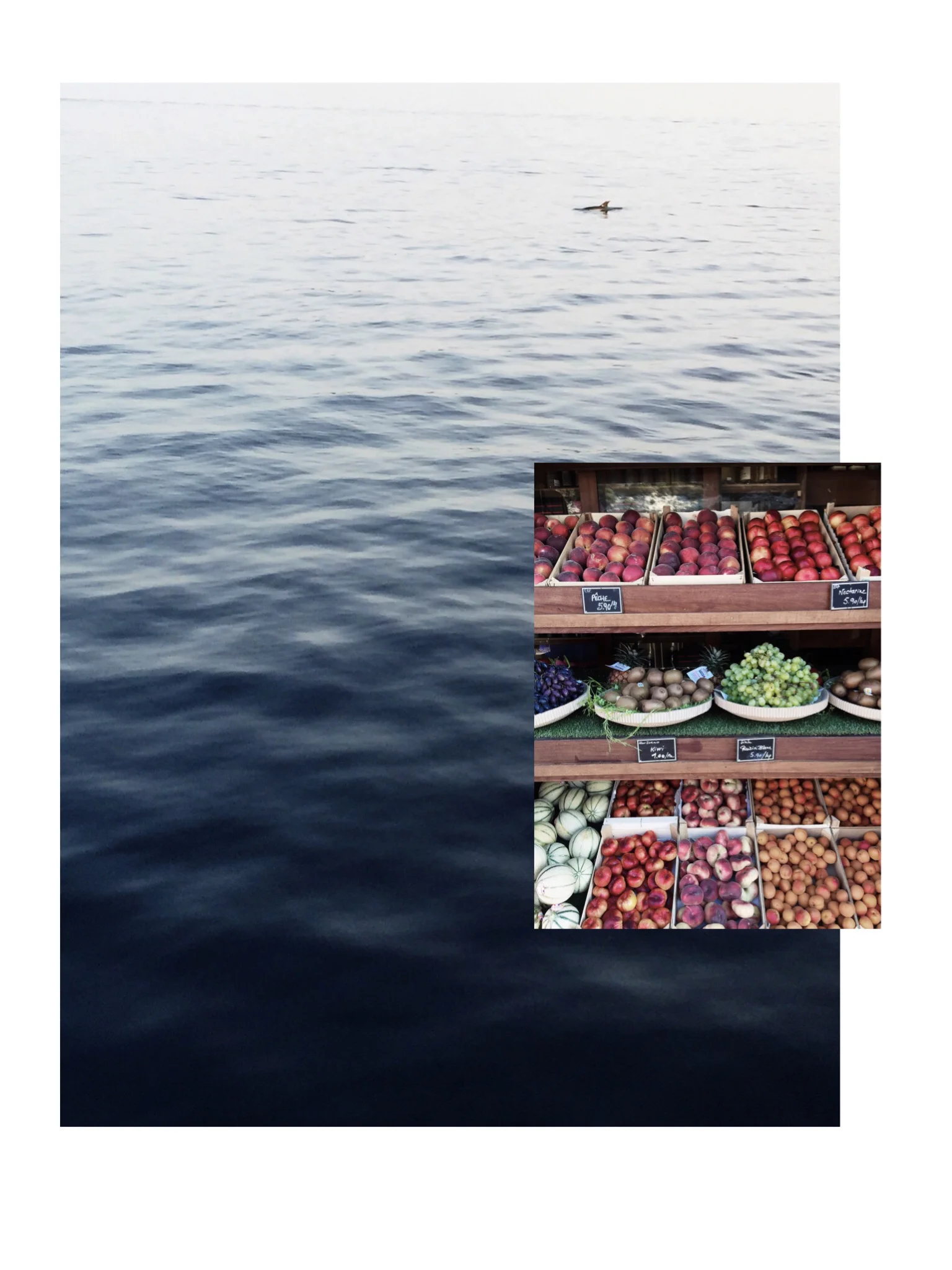 dolphriends!!!! and french fruit