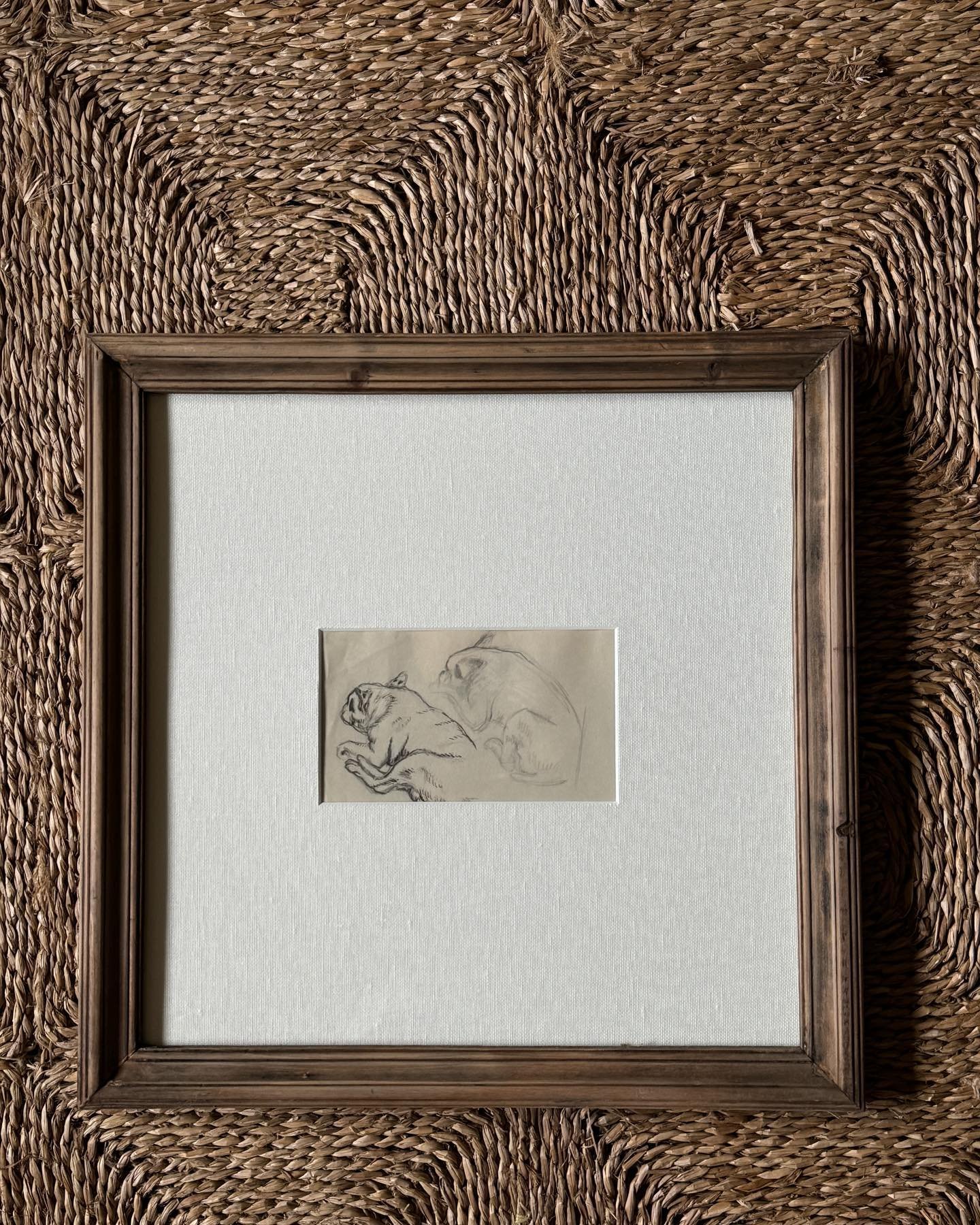 Available 🟢 this one if for my Frenchie lovers! A very sweet original pen and pencil sketch of two frenchies sleeping. It is a 1910s Spanish piece. Newly mounted in a linen mat and vintage British frame, this piece is a beautiful textural neutral.

