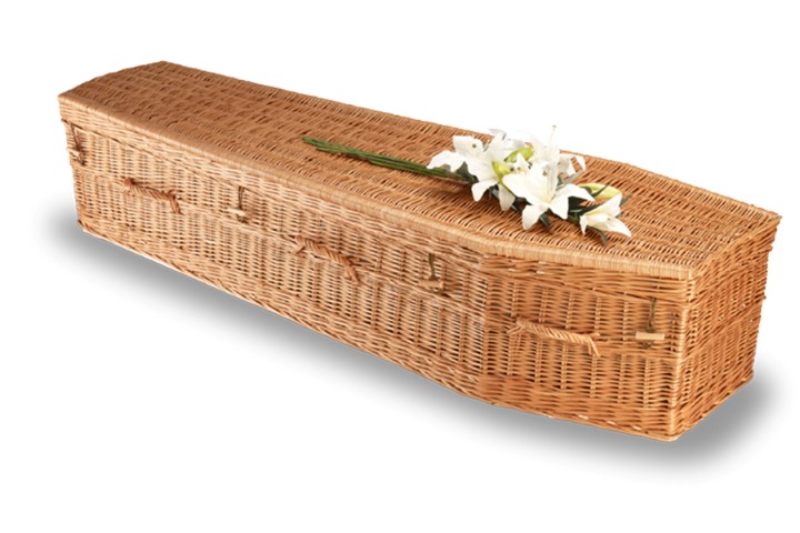 Traditional Willow