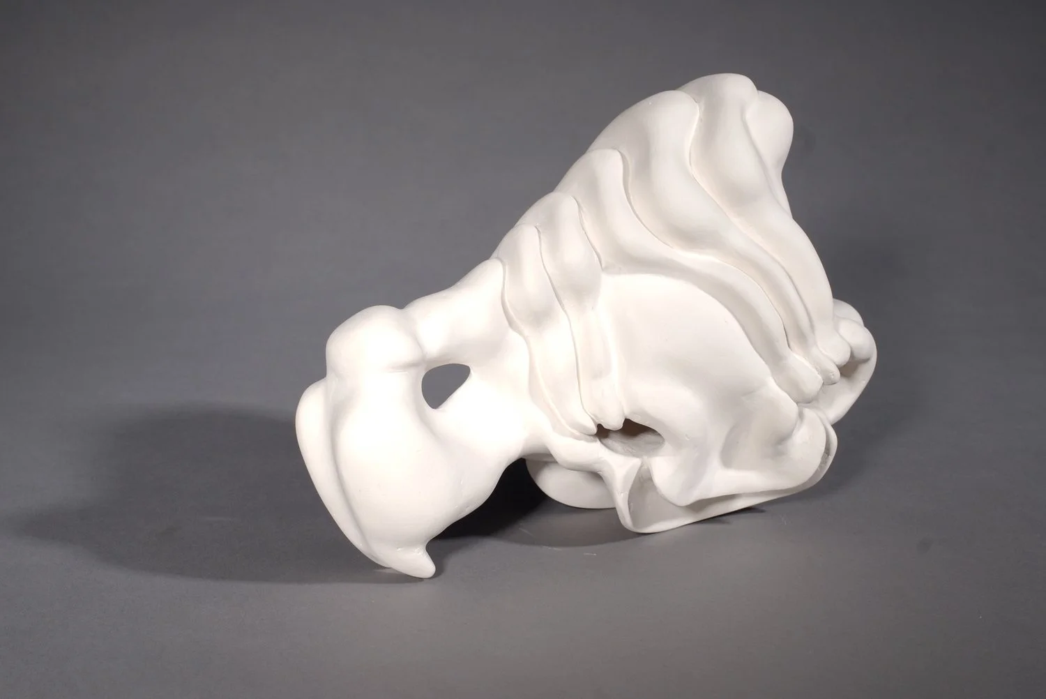 bone+series+2.jpg